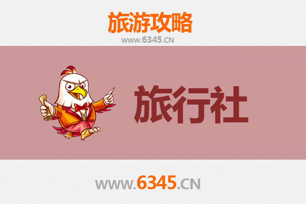 琼中营根镇本地旅行社推荐 | 深度探索黎苗风情与热带雨林