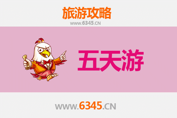 琼中营根镇五天四夜深度游攻略：雨林探秘与黎苗文化体验